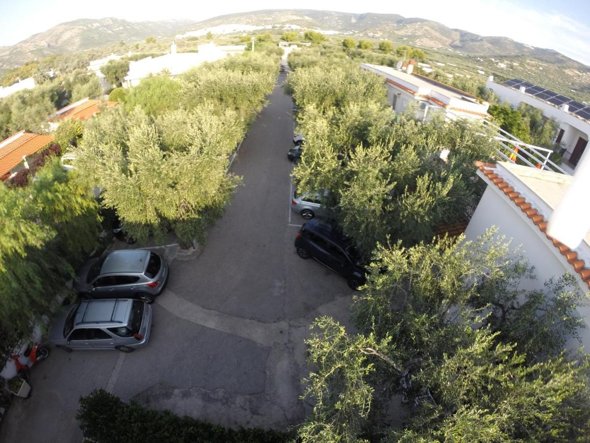 Residence Adriatico Mattinata Εξωτερικό φωτογραφία