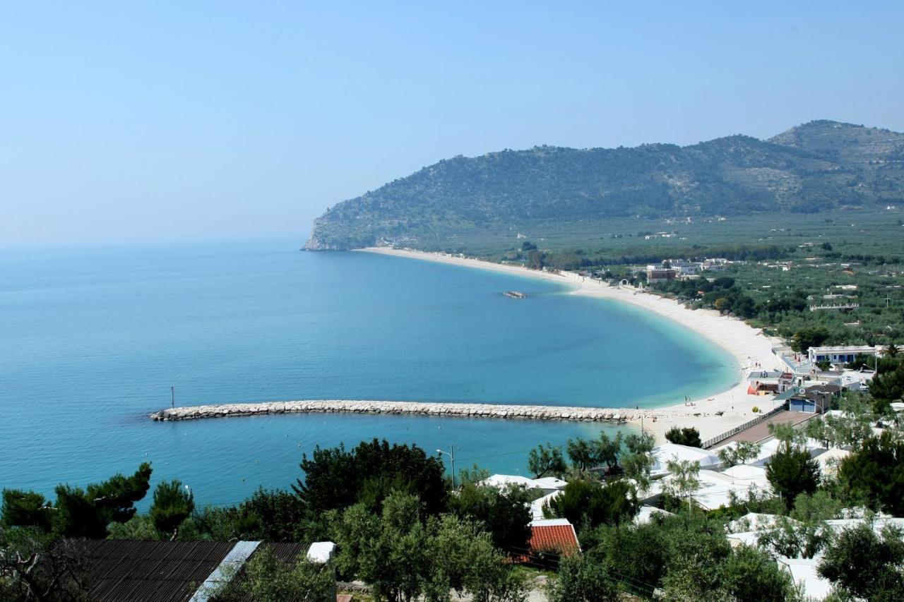 Residence Adriatico Mattinata Εξωτερικό φωτογραφία