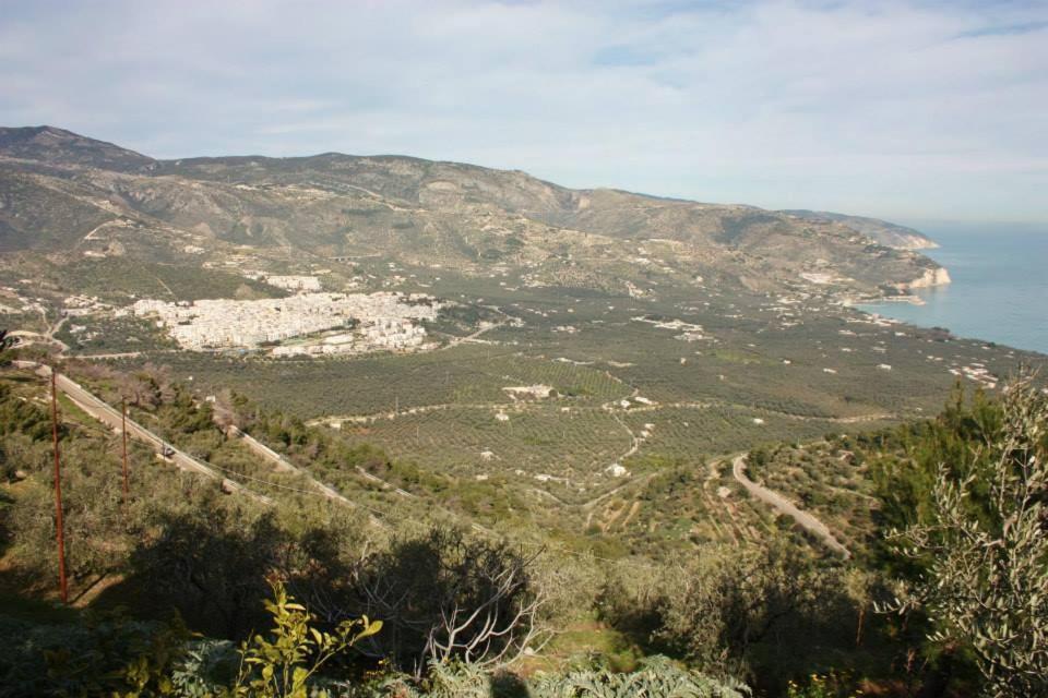 Residence Adriatico Mattinata Εξωτερικό φωτογραφία